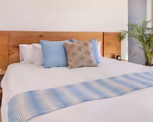 Primary 2 bedroom 2